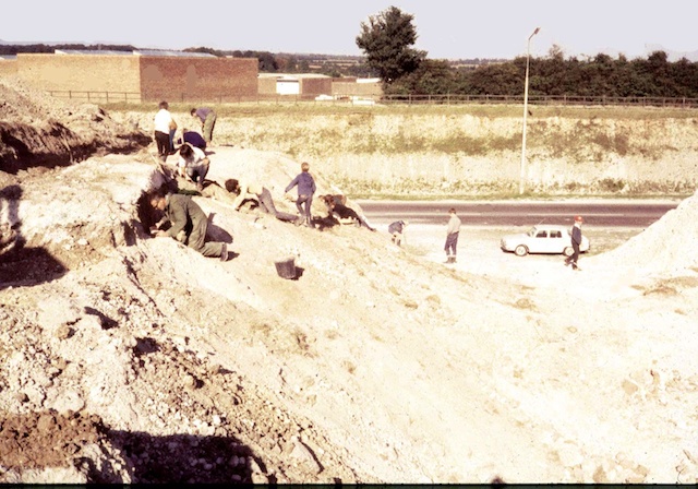 Spine Road cutting and volunteers