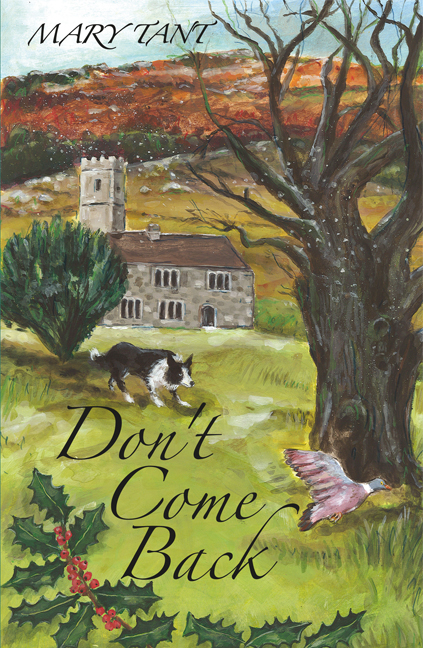 Don't Come Back by Mary Tant